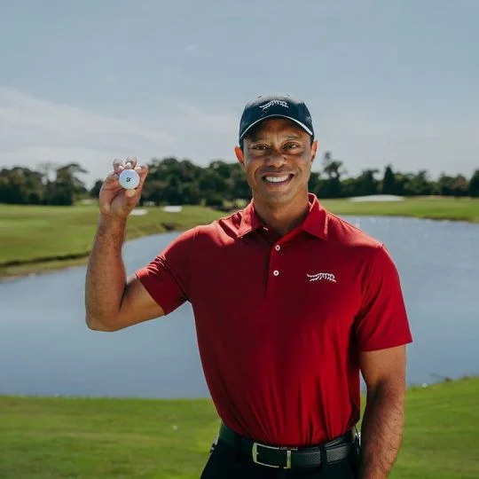 bridgestone-velosurge