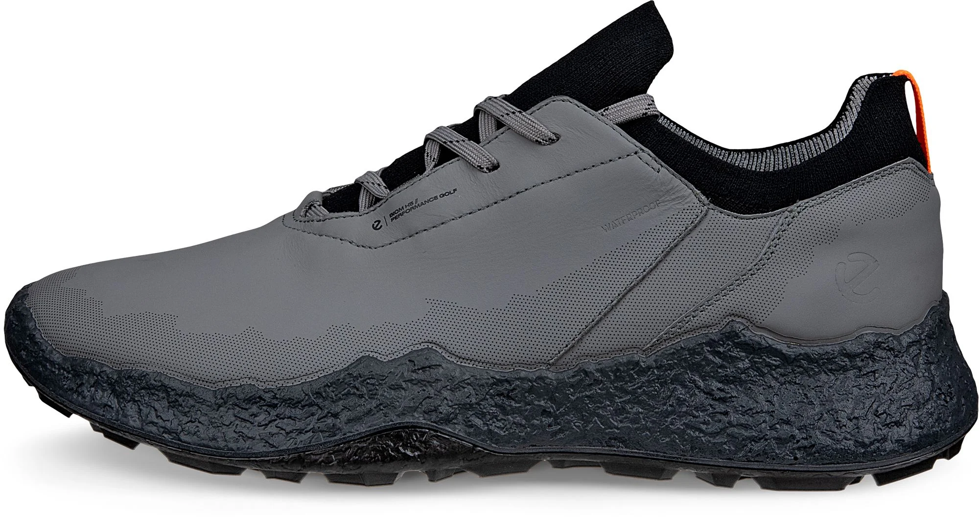 Free Shipping - ECCO BIOM H5 Steel Golf Shoes - Carl's Golfland