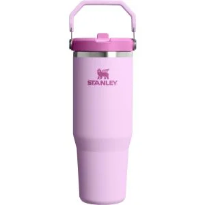 Stanley The IceFlow Flip Straw 30 oz. Tumbler