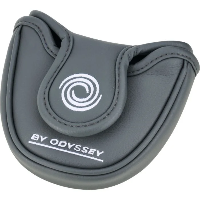 Odyssey DFX 2-Ball Blade Oversize Grip Putter 2026 - Carl's Golfland
