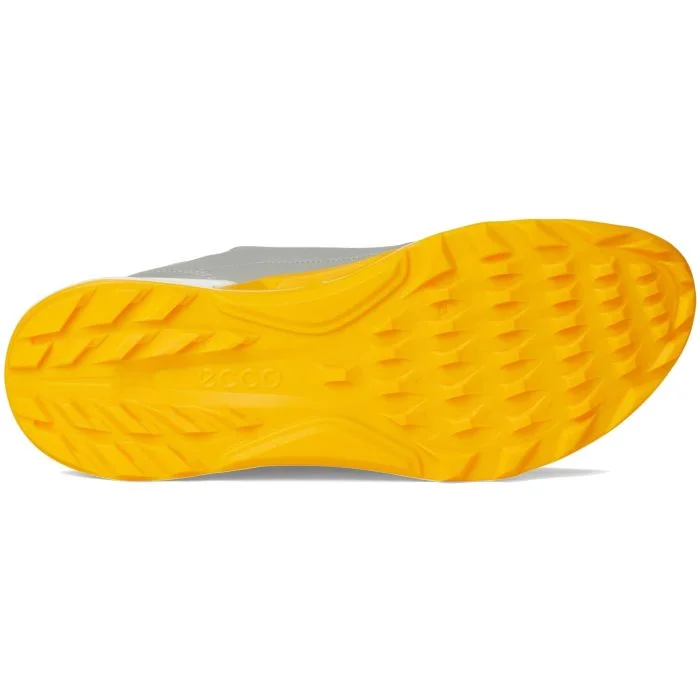 ECCO BIOM C4 Golf Shoes Wild Dove/Sunrise - Carl's Golfland