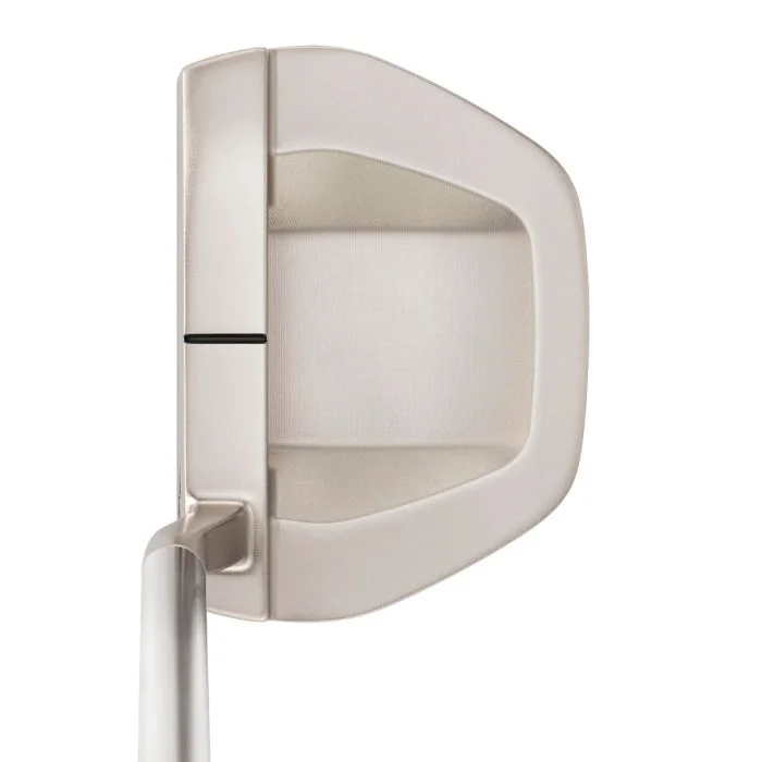 Mizuno M.Craft City Series Nagoya S Nickel Putter - Carl's Golfland