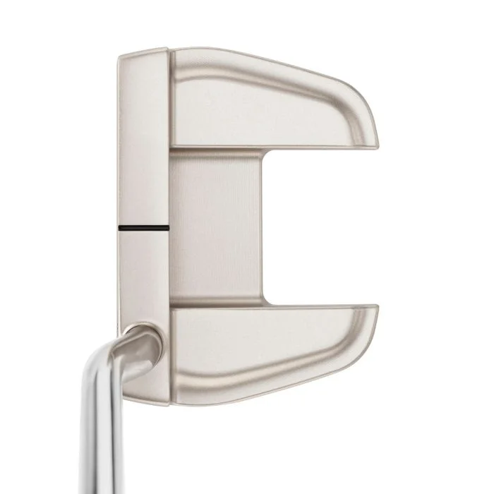 Mizuno M.Craft City Series Tokyo B Nickel Putter - Carl's Golfland