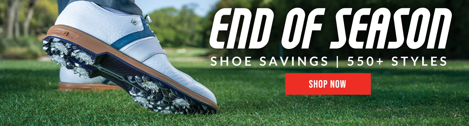 End of Season Shoe Savings