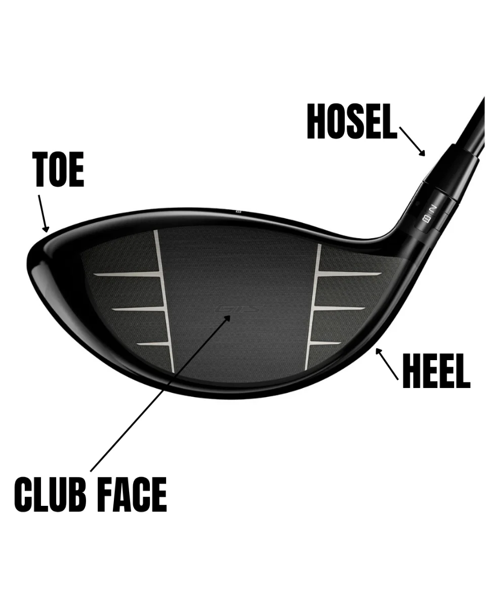 Anatomy of a club
